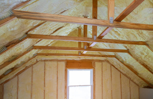 Best Insulation Maintenance and Repair in Benson, MN