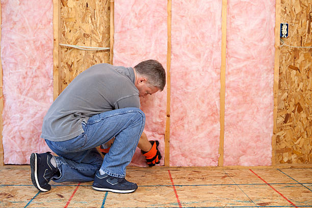Best Insulation Installation Services in Benson, MN